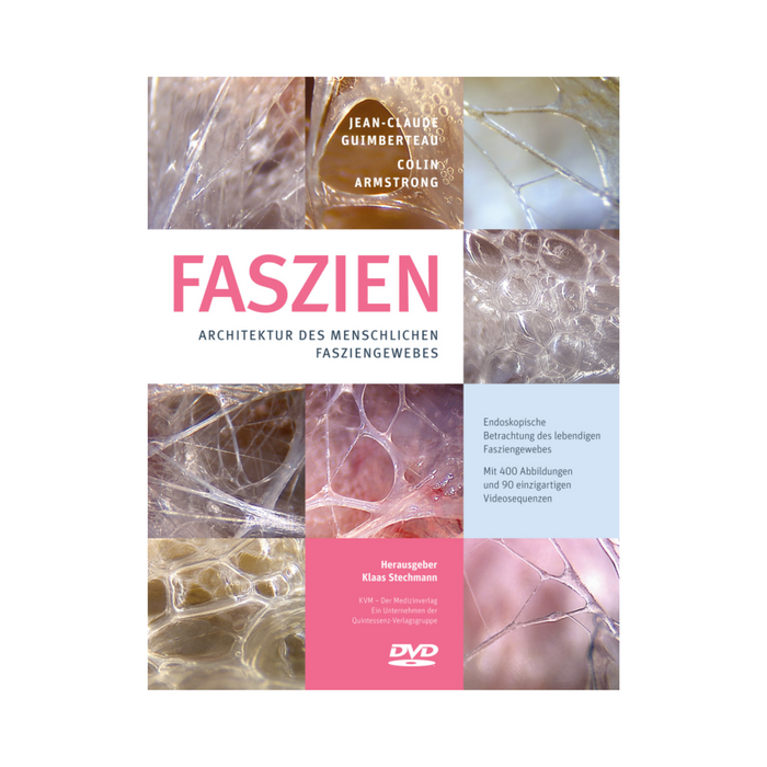 Faszien, Architektur des menschlichen Fasziengewebes