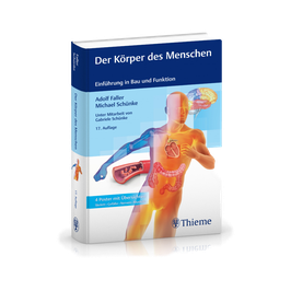 Der Körper des Menschen | Einführung in Bau und Funktion