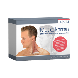 Muskel Karteikarten